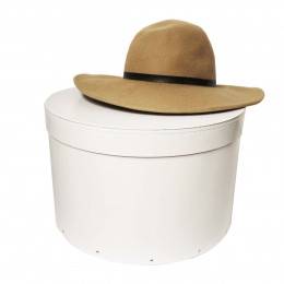 Boîte De Rangement Pliable Pour Chapeaux, étui à Vêtements, écharpe