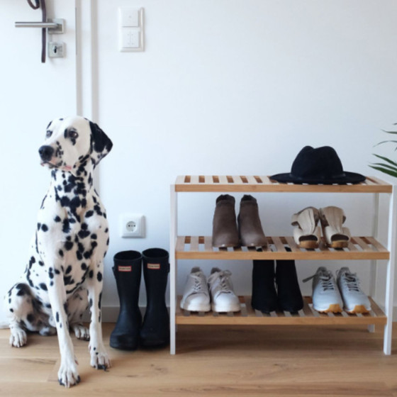 Étagère à chaussures en bois 3 niveaux