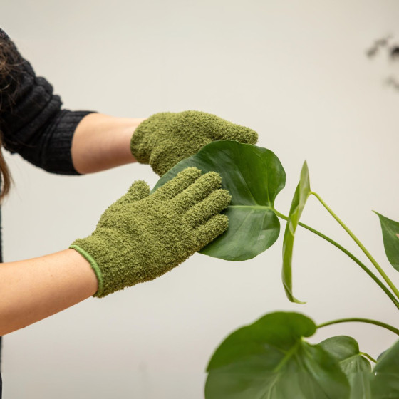 Gants de nettoyage pour feuilles de plantes