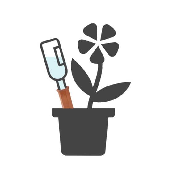 Olla pour plante d'intérieur